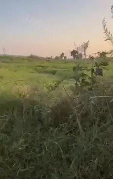 Poster: It's Mikush @its.mikush - Outdoor sextape on the river - Part 2